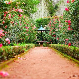 Jardim